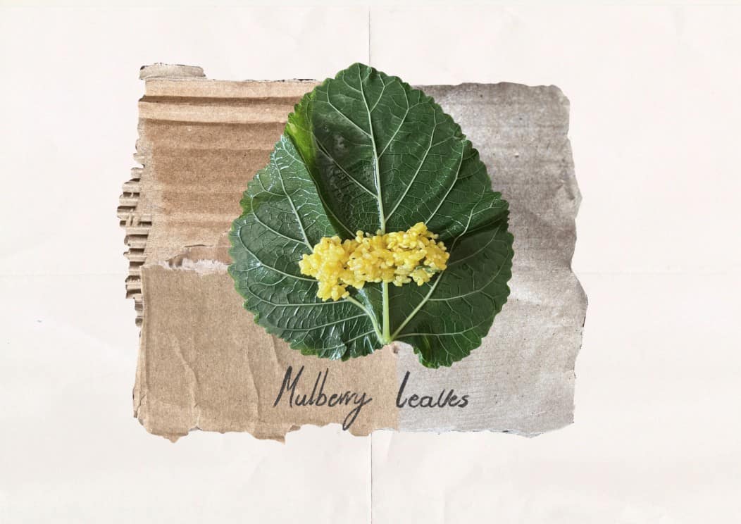 e1.44bc5da65048b8606a52